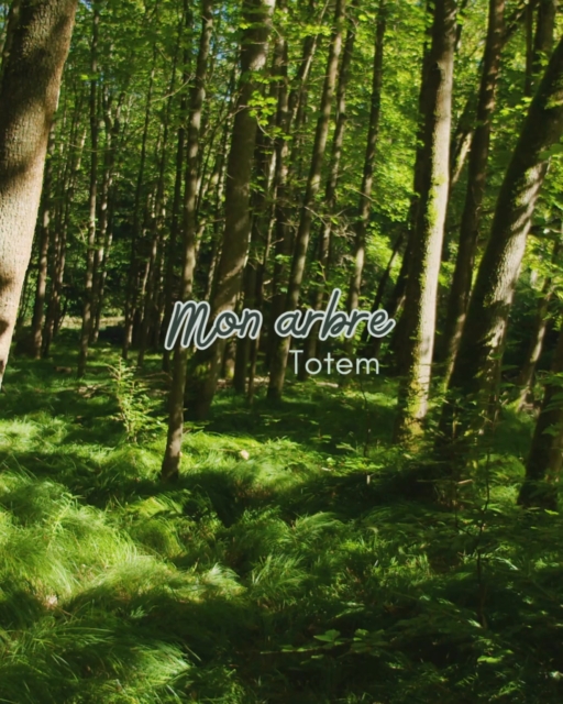 🌳✨ Comment découvrir ton arbre totem ? ✨🌳
Dans de nombreuses traditions, l’arbre totem est un guide spirituel qui reflète ta personnalité, tes forces et ce dont ton âme a besoin.
Voici quelques pistes simples pour te connecter au tien :
1 - Observe la nature : quel arbre attire ton regard à chaque promenade ? Chêne majestueux, bouleau lumineux, saule apaisant… ton intuition parle.
2 - Souviens-toi de ton enfance : un arbre qui t’a marqué, sous lequel tu aimais jouer ou te réfugier, a peut-être déjà laissé son empreinte.
3 - Écoute tes sensations : ferme les yeux près d’un arbre et remarque ce que tu ressens—paix, énergie, douceur, force.
4 - Explore les symboles : chaque arbre a une signification (force du chêne, protection du pin, douceur du tilleul…). Découvre celle qui résonne le plus.
💚 Prends le temps, sans te presser. Souvent, c’est l’arbre qui te choisit.
#soinsholistiquespouranimaux #soinsholistique #communicationanimale #protectionanimale
🍃 Et toi, as-tu déjà rencontré ton arbre totem ?