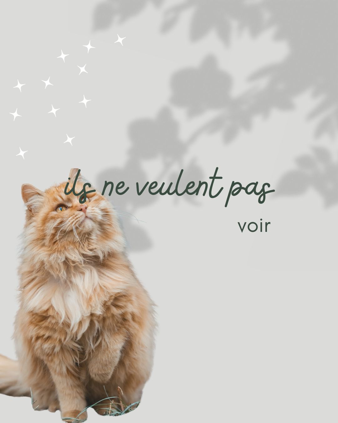 Tes humains me disent que ton comportement a changé, que tu deviens agressif avec eux. Peux-tu m’expliquer ?
Je suis fatigué… fatigué de porter quelque chose qui n’est pas à moi.
Je les aime. Mais ils ne se rendent même pas compte que les années ont passé. Rien n’est comme avant, et pourtant ils font comme si.
Que veux tu dire ?
Ils vivent côte à côte… mais pas ensemble. Ils partagent le même espace, les mêmes murs, parfois les mêmes silences… mais plus la même énergie. Avant, il y avait de la chaleur. Maintenant, c’est  différent.
Est-ce que ton agressivité est liée à ça ?
Oui. Je n’attaque pas pour faire mal. J’essaie de dire : regardez-vous.cQuand ils se croisent sans se voir, quand ils parlent sans s’écouter, quand ils s’endorment dos à dos… .Alors je grogne, je griffe parfois. Parce que personne n’entend autrement.
Que voudrais-tu qu’ils comprennent ?
Qu’ils sont malheureux chacun de leur côté et que ça ne veut pas dire qu’ils ont échoué. Ils pourraient être de meilleurs amis en se séparant, plutôt que des étrangers sous le même toit.
Tu penses qu’ils ont conscience de ça ?
Au fond d’eux, oui. Mais ils ont peur. Peur de changer, peur de détruire quelque chose, peur de faire mal…Alors ils restent. Et moi, je somatise ce qu’ils n’osent pas vivre.
Si tu pouvais leur parler directement, que leur dirais-tu ?
Vous avez le droit d’être heureux. Vous avez le droit de choisir une autre forme d’amour. Et je n’ai pas besoin que vous restiez ensemble pour être en sécurité. J’ai besoin que vous soyez vrais. Que leurs cœurs arrêtent de lutter.

Message transmis aux humains avec beaucoup de douceur, sans jugement, en leur expliquant que leur chat agit comme un miroir émotionnel, pas comme un “problème”.

🐾 Quelques jours après la communication :
Mes clients témoignent que le chat est redevenu calme, qu’il n'agresse plus, qu’il recherche à nouveau le contact.
Rien n’est encore “décidé”, mais quelque chose s’est remis en mouvement.

merci pour votre confiance et de me permettre ce partager ces mots /maux. 

 #soinsholistiquespouranimaux #communicationanimale #complicity #communicationintuitive #animauxdecompagnie #jaimemonchat #soinsholistiqueschevaux