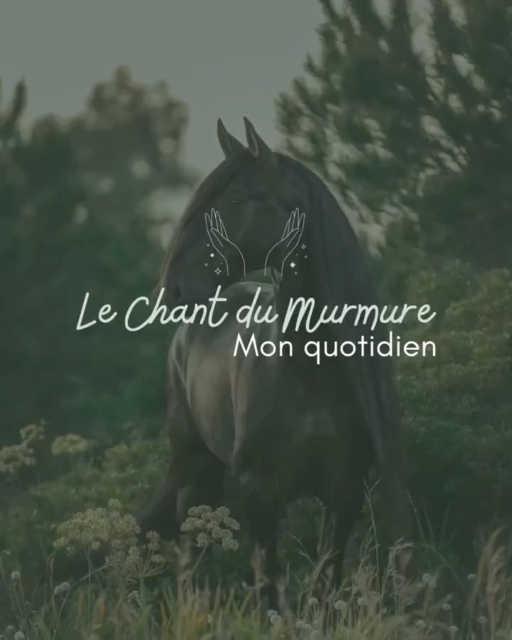 Je t’emmène, le temps d’un instant, dans mon quotidien.
Là où tout ralentit.
Là où l’on écoute autrement.

Entre  les communications animales et les soins énergétiques, à distance ou en présentiel,
il y a toujours cette même rencontre :
celle d’un humain et d’un animal qui se cherchent, se répondent, se reconnaissent.

À travers leur regard, je perçois l’amour brut et inconditionnel,
les émotions retenues,
les messages murmurés que le cœur comprend avant les mots.

Dans cet espace invisible mais profondément vivant,
le lien se révèle.
Puissant.
Sincère.
Évident.

C’est le chant du murmure.
Celui qui unit, qui apaise, qui relie 💫

#soinsholistiquespouranimaux #soinsholistiqueschevaux #communicationanimale #complicity #communicationintuitive #animauxdecompagnie