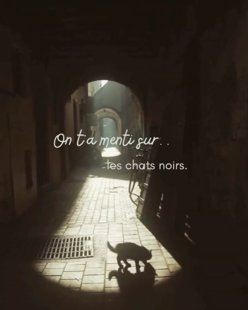 Dis-moi…
Es-tu plutôt du côté des croyances anciennes
ou de ceux qui ressentent la magie des chats noirs ?
#chatnoir #chatmystique #spiritualiteanimale #intuition #guidespirituel #energies #animauxtotem #connexionanimale #chatmagique #ameanimale #developpementspirituel #transformationinterieure #eveilspirituel #mystere #animauxsensibles #consciencedesanimaux #communicationanimale #energiesinvisibles #animalguide #magiequotidienne