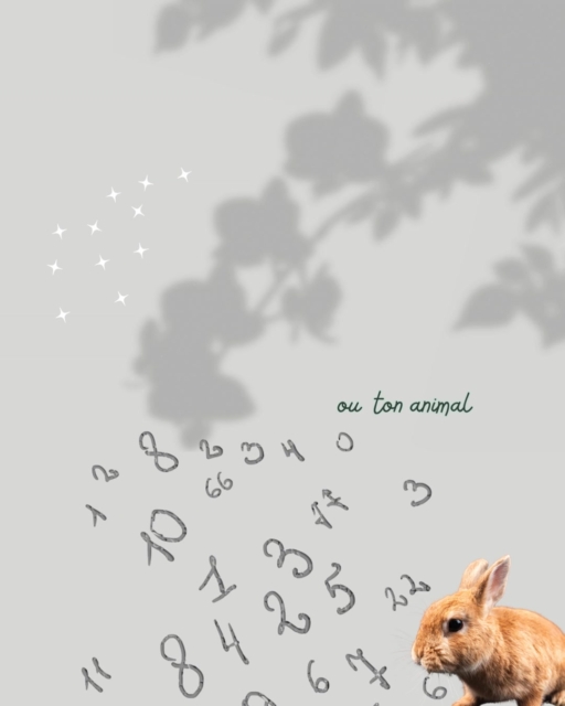 Tu connais ton chemin de vie ou celui de ton animal ?