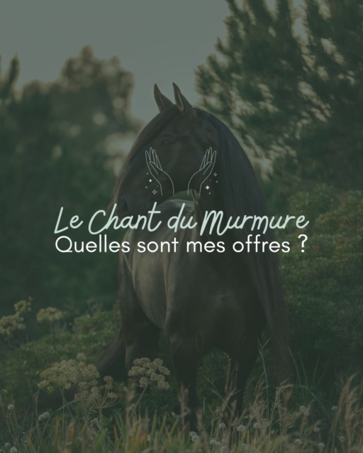 ton animal essaie peut-être déjà de te transmettre quelque chose…
Si tu ressens le besoin de mieux le comprendre, de l’aider ou simplement de renforcer votre lien, écris-moi en privé 💌
Je t'accompagne avec douceur pour entendre ce qu’il a à te dire.