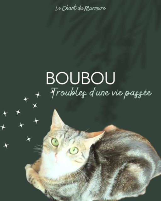 Extrait 

Boubou à des comportements inexpliqués pour ses nouvelles gardiennes. 
Il revient sur son passé difficile dans une autre famille. 

"J’ai été adopté très jeune et sans avoir compris pourquoi, je devais quitter ma maman si vite. J’étais apeuré et fragile. Je mangeais difficilement les croquettes que l’on me donnait et je ne savais même pas comment franchir la parois de ma litière. Elle était haute pour le petit chaton que j’étais. 
Je me suis forgé et j’ai appris à manger parce qu’il le fallait. Au début, j’étais l’attraction, mais je suis rapidement devenu gênant, un fardeau. J’ai eu plusieurs fois le nez dans mon urine et des prises par le poil du cou, un peu musclées. 
Je suis devenu angoissé de ce qui pouvait m’être reproché. Je manquais totalement d’assurance et de confiance, mais en plus j’avais peur. 
Une fois, ils m'ont mouillé parce que je sentais mauvais. C’est vrai, mais l’odeur venait de la maison, pas de moi. (Odeur de friture) Je n’ai pas aimé. 
Parfois, je sortais. J’appréciais cette sortie uniquement parce que je n’étais plus le souffre douleur. Mais dehors, tout est inquiétant pour un chaton, comme moi, qui n’a pas eu l’instruction de sa mère. 
Quand je rentrais, c’était principalement pour manger, mais c’était souvent vide. 
(Manque de nourriture et eau sale) 
Ce n’est pas l’envie de me servir qui les fatiguaient. Ils n’en avaient clairement pas le souhait. Mais au bout d’un moment, j’avais de quoi me restaurer. Fallait faire preuve de patience ou risquer de mourrir de faim. Parce que je ne sais pas chasser non plus. 
C’est un sujet qui m’intéresse, mais je ne sais pas comment m’y prendre. 
Dehors, tout est angoissant, bruyant et incontrôlable. Tout est surpuissant et violent. Je le vis de cette manière."

Ses gardiennes aménagent l'environnement et les activités pour donner confiance à Boubou. bravo à elles pour leur implications. 🥰

Merci pour votre confiance. 🙏💫