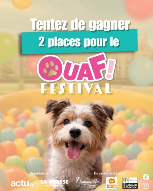 “🎉 JEU CONCOURS 🎉
Nous sommes ravis de participer à la première édition du Ouaf ! festival ! Pour fêter ça, nous vous faisons gagner 2 entrées.
👉 1 entrée = 1 visiteur avec son ou ses chien(s) + 1 accompagnateur (valable samedi OU dimanche).
📅
20 & 21 juin 2026
📍
Château de Flamanville
Un week-end unique dédié à vos compagnons
🐶
Animations, découvertes, rencontres… une ambiance conviviale au cœur d’un lieu exceptionnel.
Un événement convivial à vivre entre passionnés… et leurs compagnons 🐾
Pour participer :
1️⃣ Suivre notre compte et celui du @ouaffestival
2️⃣ Liker ce post
3️⃣ Taguer la personne avec laquelle vous voudriez venir
✨ Bonus : partagez ce post en story pour plus de chances !
📢 Tirage au sort le 1er juin
Les gagnants seront contactés en message privé.
Bonne chance à tous ! 🍀🐾
🚫 Jeu gratuit, sans obligation d’achat.”