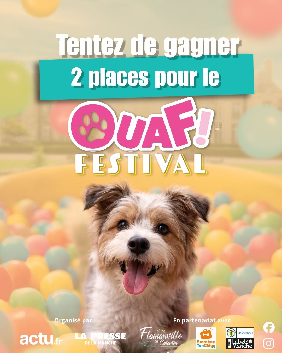 “🎉 JEU CONCOURS 🎉
Nous sommes ravis de participer à la première édition du Ouaf ! festival ! Pour fêter ça, nous vous faisons gagner 2 entrées.
👉 1 entrée = 1 visiteur avec son ou ses chien(s) + 1 accompagnateur (valable samedi OU dimanche).
📅
20 & 21 juin 2026
📍
Château de Flamanville
Un week-end unique dédié à vos compagnons
🐶
Animations, découvertes, rencontres… une ambiance conviviale au cœur d’un lieu exceptionnel.
Un événement convivial à vivre entre passionnés… et leurs compagnons 🐾
Pour participer :
1️⃣ Suivre notre compte et celui du @ouaffestival
2️⃣ Liker ce post
3️⃣ Taguer la personne avec laquelle vous voudriez venir
✨ Bonus : partagez ce post en story pour plus de chances !
📢 Tirage au sort le 1er juin
Les gagnants seront contactés en message privé.
Bonne chance à tous ! 🍀🐾
🚫 Jeu gratuit, sans obligation d’achat.”