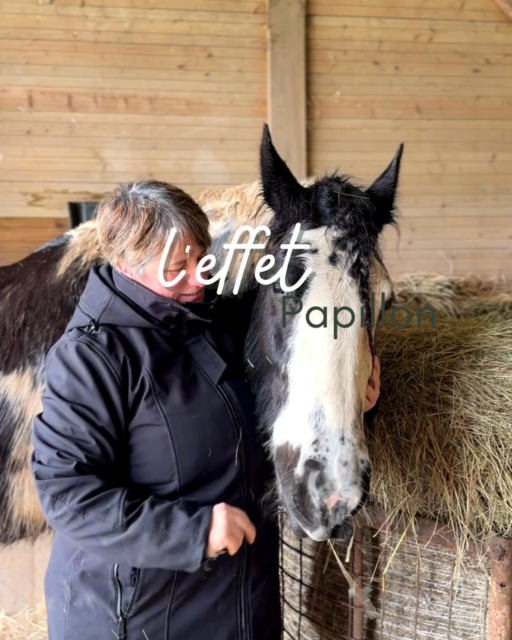 Il existe, entre l’humain et l’animal, un langage qui ne passe ni par les mots, ni par le visible.
Un fil invisible.
Un souffle.
Un murmure de l’âme.
Dans mes communications, je n’écoute pas seulement ce que l’animal ressent.
J’entre dans cet espace sacré où chacun peut enfin être entendu.
L’animal.
L’humain.
Et ce lien vivant qui cherche son harmonie.
Parfois, une émotion demande à être reconnue.
Parfois, une tension appelle à être relâchée.
Parfois encore, l’animal vient offrir une sagesse inattendue, comme un guide silencieux sur le chemin.
Alors, ensemble, nous tissons une compréhension nouvelle.
Un pas de l’un vers l’autre.
Une ouverture.
Un réajustement subtil.
Je vous propose aussi des astuces.
Peu à peu, ce qui semblait figé se remet à circuler.
La relation respire autrement.
Elle retrouve sa vérité profonde, sa douceur, sa paix.
Les animaux portent une conscience sensible, fine, souvent d’une grande justesse.
Lorsqu’on leur laisse l’espace d’exprimer leur vécu, ils participent pleinement à l’équilibre du foyer, aux choix, aux changements, aux guérisons du lien.
Et dans cette écoute profonde, chacun retrouve sa juste place.
L’humain n’avance plus seul.
L’animal n’est plus simplement “concerné”.
Il devient un être reconnu dans la sagesse de ce qu’il a à transmettre.
Alors le murmure devient chant.
Le lien devient présence.
Et l’amour circule à nouveau librement. 🙏
#lechantdumurmure #communicationanimale #ecoutesubtile #intuition #spiritualite #liename #animauxguides #formationintuitive
