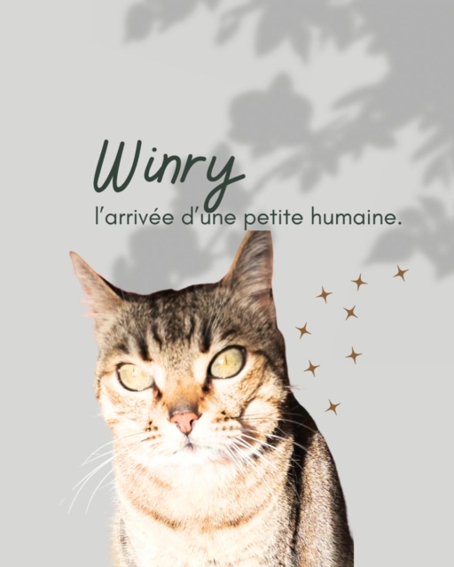 Ma cliente souhaitait savoir pourquoi la chatte de la famille transporte les peluches des enfants la nuit. elle apporte tout au pied de son lit. 
Voici le retour de Winry. 
"Je ne m’étais pas rendue compte à quelle point ce petit bout d’humaine pouvait demander de l’attention. 
J’ai vu que tu lui donnes de petits objets pour la concentrer sur une activité lorsqu’elle pleure. J’ai vue aussi que tu joues avec elle de cette manière. Tu lui parles beaucoup également. Je trouve ce comportement tellement attentionné et ton coeur est très doux et ouvert dans ces moments que je me suis particulièrement attendrie devant autant d’amour. 
Alors, je me suis dite que je pouvais faire de même avec toi. 
Est ce la raison pour laquelle tu transportes les peluches de Alice et les chaussettes de Salomé ? 
Oui. Quand tout le monde est calme, je me dis que c’est le moment opportun pour jouer et passer un peu de temps ensemble. Je me suis souvent prélassée une grande partie de ma journée et la nuit, je ressens plus l’envie de bouger et de me dépenser. Tu consacres du temps à la petite aussi la nuit, alors je te propose d’en passer avec moi et je t’apporte les objets pour te dire que c’est le moment. Comme tu le fais avec notre bébé humaine. "
Minette très maline qui demande de l'attention. 🥰
Espérons que notre famille pourra dormir un peu entre le biberons de la petite Alice.