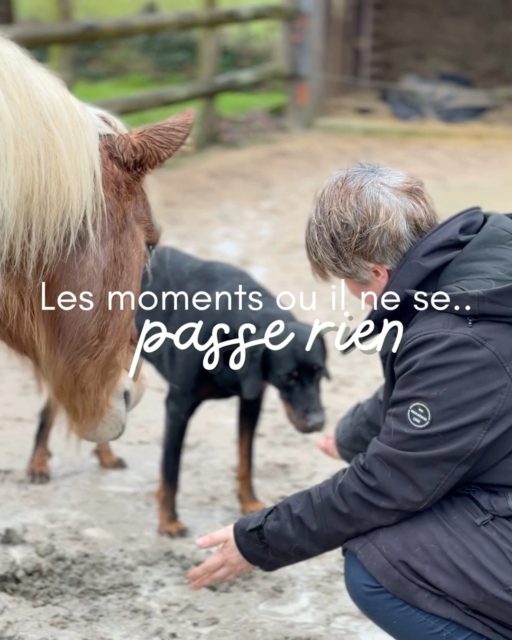 Et si le plus beau cadeau que tu puisses offrir à ton animal était simplement ta présence ?

On nous apprend à faire.

Faire une balade.
Faire une séance de jeu.
Faire de l'éducation.
Faire des exercices.

Mais quand as tu pris le temps, pour la dernière fois, de simplement ÊTRE avec ton animal ?

Sans attente.
Sans demande.
Sans objectif.

Juste t'asseoir près de lui.
Respirer.
Observer.
Ressentir.

Dans ce silence partagé circule une énergie subtile, vivante, authentique. Une conversation invisible entre deux êtres, deux âmes qui n'ont rien à prouver et rien à accomplir.

Lorsque nous ralentissons suffisamment pour accueillir cet instant, quelque chose de précieux émerge.

Une émotion.
Une sensation.
Un mot.
Une image.
Un apaisement.

Ne cherche pas à comprendre immédiatement.

Accueille.

Car tout ce qui se présente à toi a une raison d'être là.

Ton animal t'invite à revenir à l'essentiel : l'écoute de soi, la présence à l'instant, la connexion au vivant.

J'ai cette conviction profonde : nos animaux nous enseignent bien plus que nous ne l'imaginons lorsque nous acceptons de les rencontrer dans l'espace du silence, dans leur monde. 

Aujourd'hui, accordes toi 10 minutes.

Ne fait rien.

Sois simplement là.

Et observe ce que ton cœur entend lorsque le mental se tait. 🤍

As tu déjà vécu un moment de présence profonde avec votre animal ? Raconte-le en commentaire.

#ChantDuMurmure #CommunicationAnimale #ConnexionAnimale #BienEtreAnimal #PrésenceConsciente #RelationAnimalHumain #DéveloppementPersonnel #AnimauxGuides #ÉcouteDuVivant #AnimalDeCompagnie