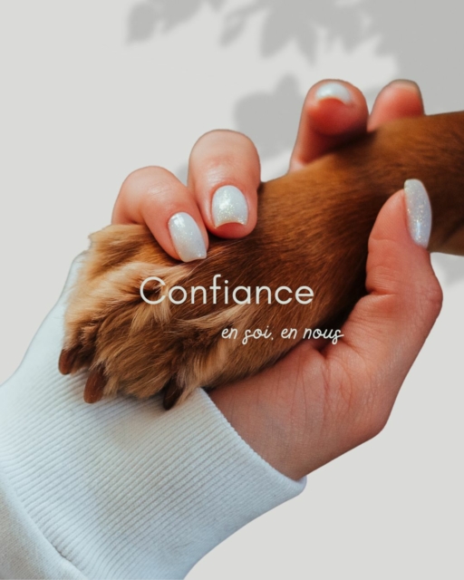 Dans ma pratique, je constate que la confiance est l'un des thèmes les plus récurrents lors des communications avec les animaux.

La confiance du gardien envers son compagnon, la confiance au sein du duo, mais aussi – et on l'oublie parfois – la confiance que l'animal a en lui-même.

C'est particulièrement présent chez les animaux qui pratiquent une discipline sportive ou évoluent en compétition.

Derrière leur envie de bien faire, certains expriment des doutes, la peur de ne pas être à la hauteur ou le besoin d'être rassurés sur leurs capacités. Comme nous, ils peuvent traverser des périodes où leur confiance est fragilisée par une expérience, un changement, une pression ou simplement par leur sensibilité propre.

Au cours des communications, il m'arrive régulièrement de recevoir des messages d'animaux qui disent : « J'ai besoin que l'on croie en moi », « J'ai besoin d'être encouragé » ou encore « J'ai besoin de reprendre confiance en ce que je suis capable de faire. »

Bien sûr, ils ressentent également les émotions de leur gardien. Le stress, les doutes ou les inquiétudes ne leur échappent pas. Non pas qu'ils en soient responsables, mais ils les perçoivent et cela peut parfois renforcer leurs propres incertitudes.

Lorsque chacun retrouve sa place et sa confiance, le duo évolue différemment.

J'ai accompagné plusieurs binômes pour lesquels cette prise de conscience a été déterminante. Après la communication, le regard du gardien change, les attentes deviennent plus justes, l'encouragement remplace parfois la crainte de l'échec, et l'animal semble plus serein et plus engagé.

Les retours sur davantage de fluidité dans le travail, une meilleure coopération, un animal qui ose davantage proposer, et surtout une relation renforcée par une confiance mutuelle retrouvée.

La communication animale ne remplace ni l'apprentissage ni l'accompagnement sportif, mais elle permet d'accéder à cette dimension émotionnelle qui est parfois la clé pour avancer ensemble.

Parce qu'au fond, la plus belle performance reste celle d'un duo qui se fait confiance, qui croit en ses capacités et qui avance avec plaisir, dans le respect de chacun. 💛🐾