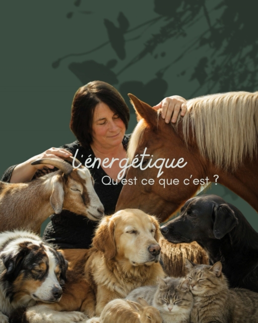 L'énergétique et le magnétisme, qu'est-ce que c'est ? ✨
Vous avez peut-être déjà entendu parler de l'énergétique ou du magnétisme, sans vraiment savoir ce que cela signifie.
Tout être vivant possède une énergie qui lui est propre. Parfois, à la suite d'un changement, d'une émotion forte, d'un événement marquant ou simplement du rythme de la vie, cette énergie peut sembler moins harmonieuse.
L'énergétique et le magnétisme sont des approches de bien-être qui visent à favoriser un meilleur équilibre énergétique. Lors d'une séance, je travaille avec douceur pour accompagner l'animal vers davantage de détente et de confort.
Cette approche peut être utilisée pour accompagner :
• les périodes de stress ou d'anxiété ;
• les changements de vie (déménagement, arrivée d'un nouvel animal, séparation, etc.) ;
• les émotions difficiles ;
• les animaux sensibles ou âgés ;
• les périodes de récupération et de convalescence, en complément d'un suivi adapté ;
• le renforcement du lien entre l'animal et son humain.
Chaque animal est unique et réagit à sa manière. L'objectif n'est pas de poser un diagnostic ni de traiter une maladie, mais d'apporter un accompagnement complémentaire favorisant son bien-être global.
⚠️ Important : les séances d'énergétique et de magnétisme ne remplacent en aucun cas une consultation, un diagnostic ou un traitement vétérinaire. En cas de problème de santé, le vétérinaire reste votre interlocuteur de référence.
Parce qu'un animal apaisé et écouté est souvent plus disponible pour retrouver son équilibre.
#EnergetiqueAnimale #MagnétismeAnimal #BienÊtreAnimal #CommunicationAnimale #AccompagnementAnimal #LeChantDuMurmure #AnimauxHeureux