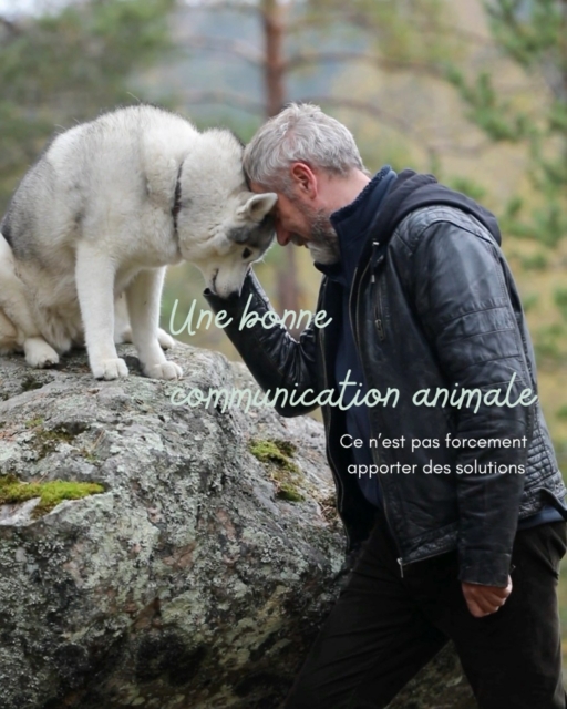 Et si l'animal n'était pas là pour être « réparé » ?
Lorsque l'on demande une communication animale, il y a souvent une question qui nous habite.
Pourquoi fait-il cela ?
Comment puis-je arranger les choses ?
Que faut-il faire pour que la situation change ?
Et c'est profondément humain.
Lorsque nous aimons notre animal, nous voulons le comprendre. L'aider. Trouver une solution à ce qui semble difficile.
Mais parfois…
L'animal n'est pas là pour nous donner une réponse.
Il est simplement là pour nous partager sa réalité.
Son ressenti.
Son inconfort.
Sa vision des choses.
Sa manière, à lui, de vivre une situation.
Et parfois, ce qu'il exprime ne débouche pas sur une solution immédiate.
Pas de formule magique.
Pas de comportement à corriger.
Pas de problème à résoudre.
Juste une rencontre.
Je crois que la communication animale change profondément lorsque nous cessons d'attendre d'elle un résultat précis.
Car lorsque nous entrons dans cet espace en espérant absolument une réponse, un changement ou une confirmation… sommes-nous encore pleinement disponibles pour entendre ce que l'animal a réellement à nous dire ?
Communiquer, ce n'est pas toujours transformer.
C'est parfois simplement offrir à l'autre un espace où il peut être entendu.
Sans devoir nous rassurer.
Sans devoir nous donner une solution.
Sans devoir changer pour répondre à nos attentes.
Certaines communications ouvrent de magnifiques portes et permettent des transformations profondes.
D'autres ne changent rien… en apparence.
Et pourtant.
Quelque chose a été entendu.
Quelque chose a été reconnu.
Et parfois, c'est déjà immense.
Parce qu'au fond, la plus belle question que nous puissions poser à notre animal n'est peut-être pas :
« Dis-moi comment régler cela. »
Mais plutôt :
« Je suis là. Raconte-moi comment toi, tu le vis. »
C'est peut-être là que commence la véritable rencontre.
Une écoute sans attente.
Un cœur qui ne cherche plus à réparer…
Mais simplement à entendre ce que l'âme murmure.
#communicationanimale #ecouteanimale #relationanimal #connexionanimale #comprendrelesanimaux #bienetreanimal #animauxetnous #âmeàâme #ecoutedecoeur #lechantdumurmure